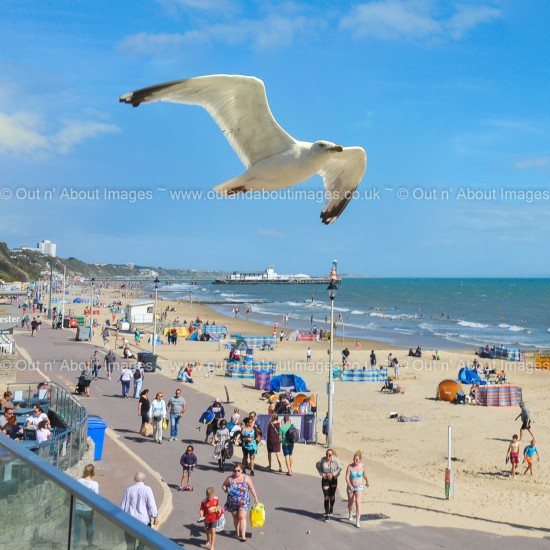 Bournemouth Beach Greeting card D1-070 (8892)
