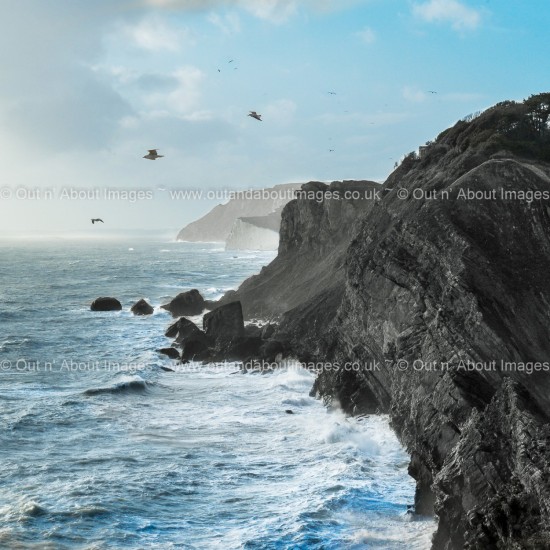 Wild and Windy Coast Greeting card D1-031 (8502)